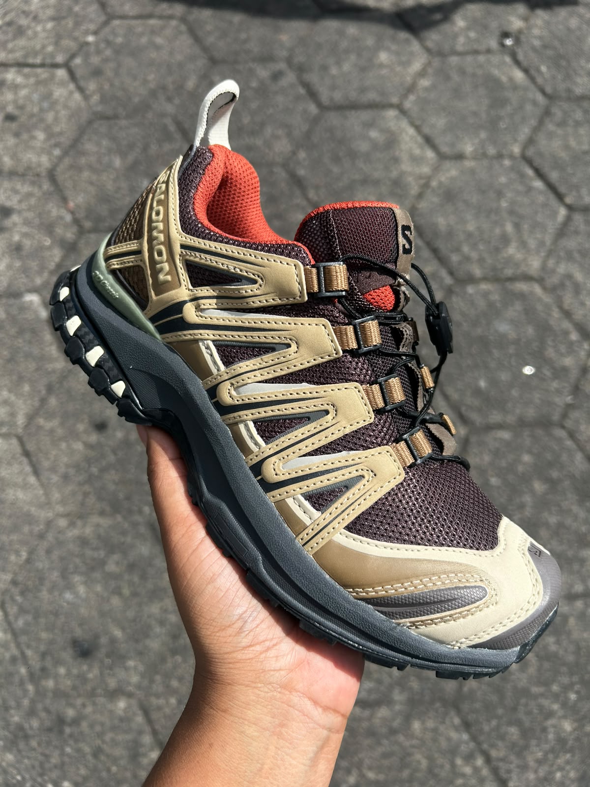 SALOMON 3D